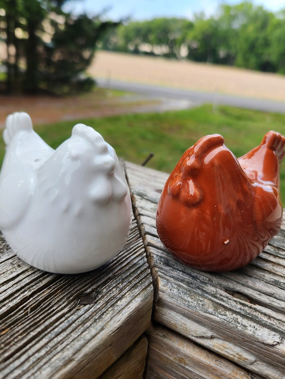 Ceramic Chicken Salt and Pepper Set - White & Rust Orange